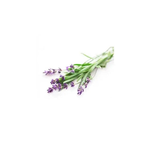 Lavender Essential Oil Aromise